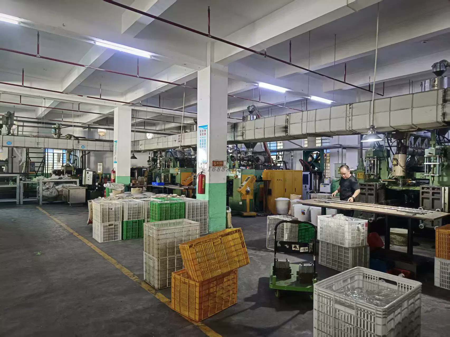 Automated Vulcanization Line